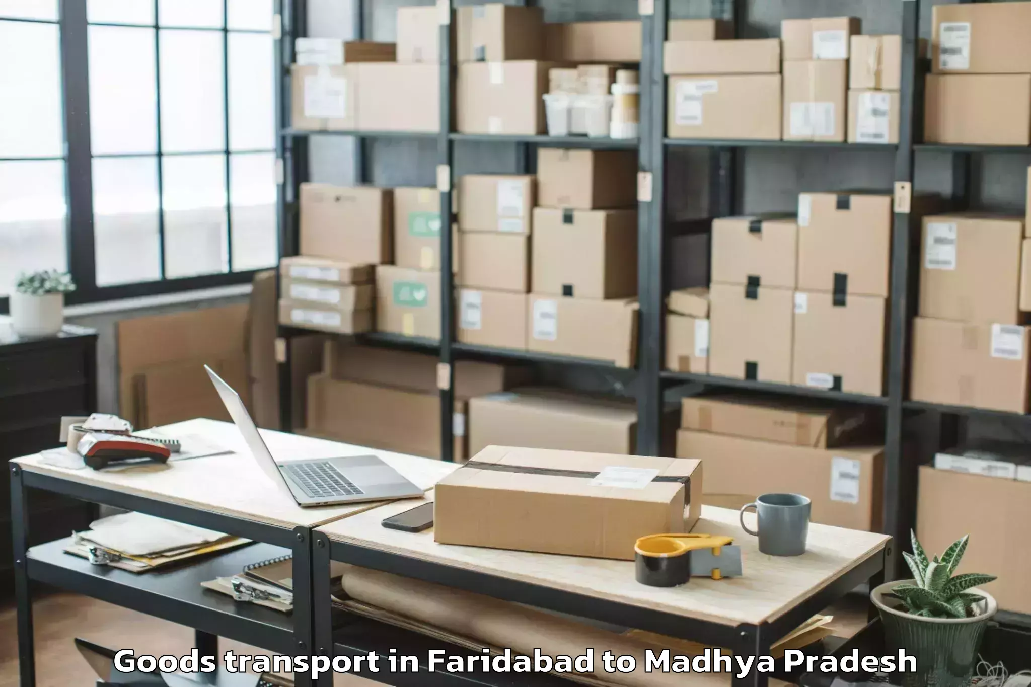 Top Faridabad to Bichhua Goods Transport Available